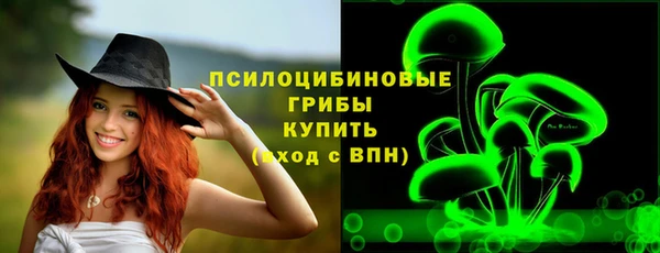 стаф Липки