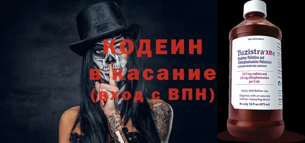стаф Липки