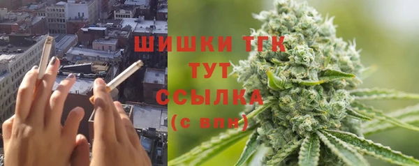 стаф Липки
