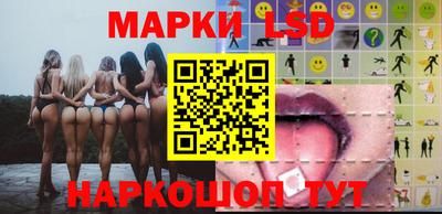 гашик Будённовск