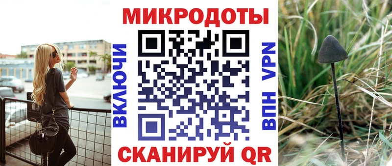 сколько стоит  Елизово  Псилоцибиновые грибы прущие грибы 