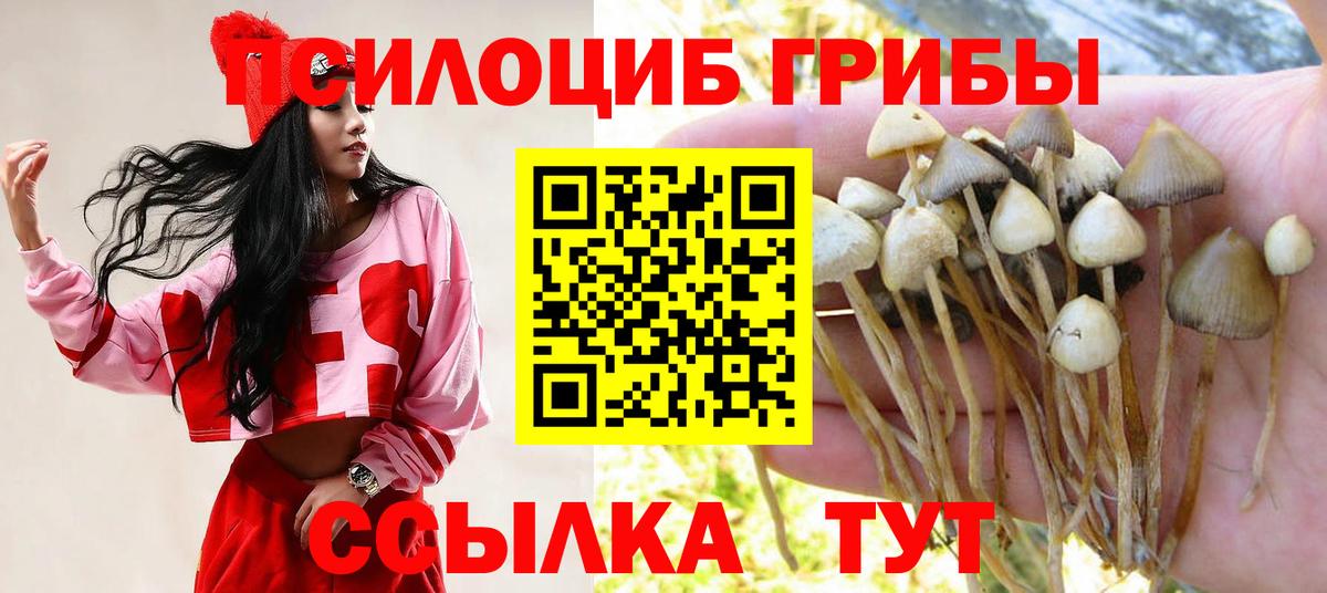 Псилоцибиновые грибы мицелий Елизово