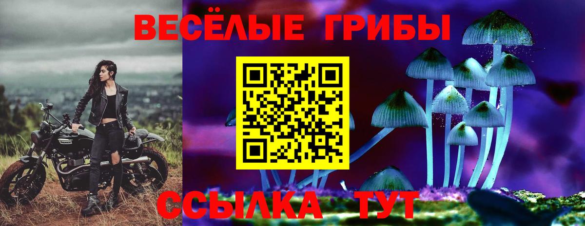 Елизово  Псилоцибиновые грибы ЛСД  Вход с VPN 